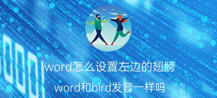 word怎么设置左边的翅膀 word和bird发音一样吗？